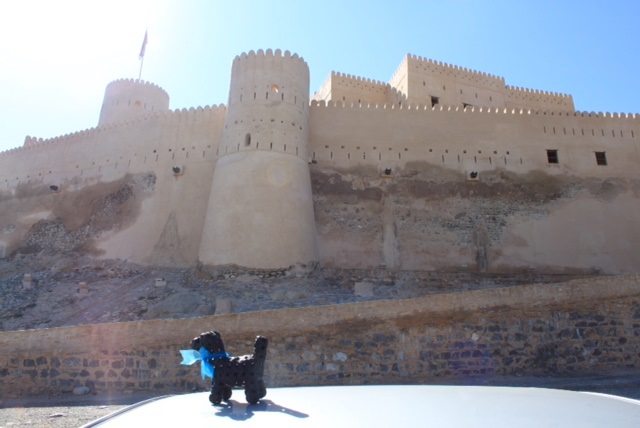 One of our inner tube dogs on tour in Oman to check out Nekhal castle